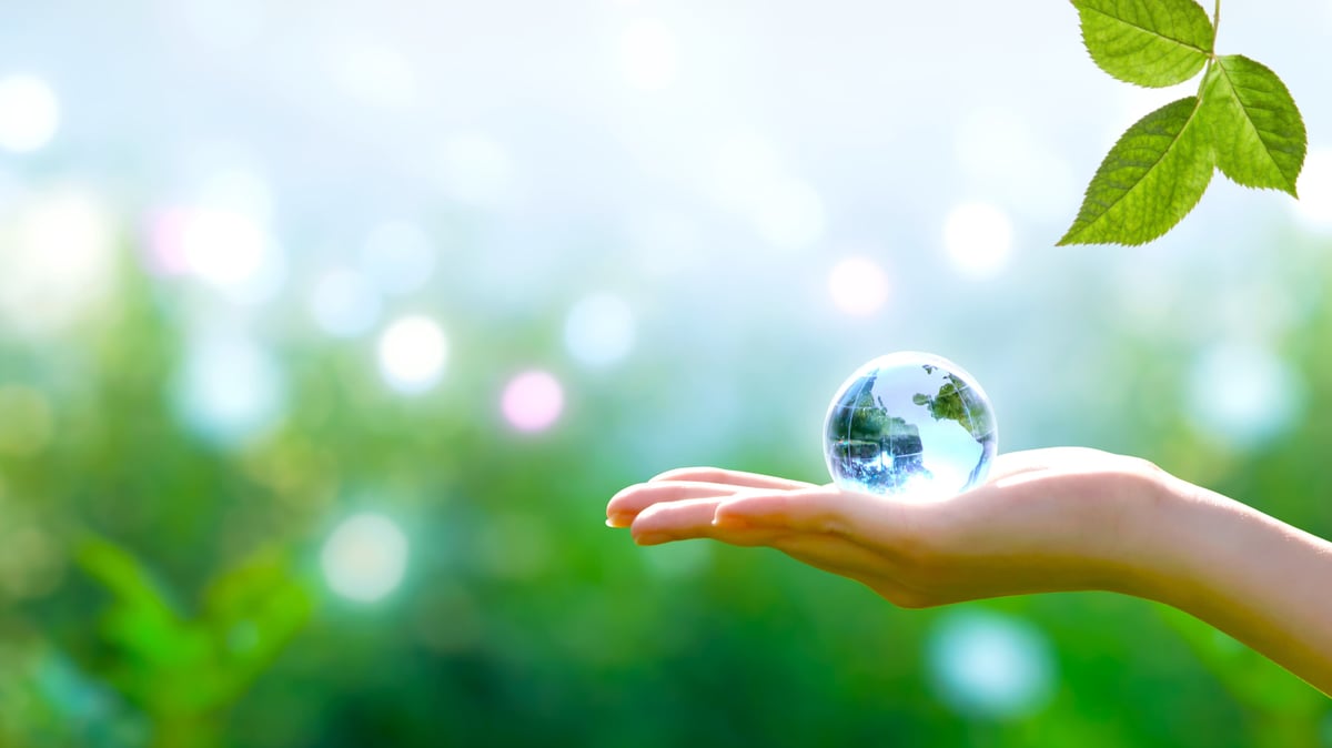 Sustainability