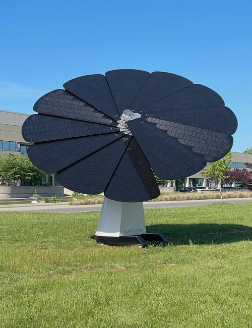      Solar flower located at Lexmark headquarters, Lexington, Kentucky